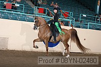 08yn-02480 proof