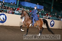 08yn-02501 proof