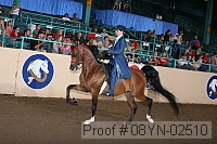 08yn-02510 proof