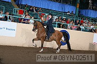 08yn-02511 proof