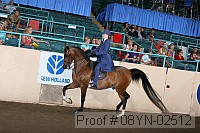 08yn-02512 proof