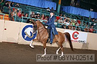 08yn-02514 proof