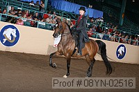 08yn-02516 proof