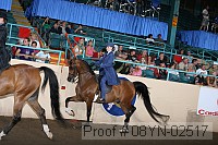 08yn-02517 proof