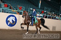 08yn-02519 proof