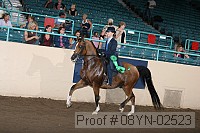 08yn-02523 proof