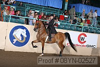 08yn-02527 proof