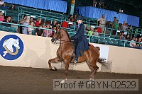 08yn-02529 proof