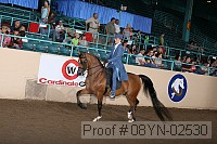 08yn-02530 proof