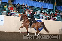 08yn-02531 proof