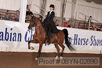 08yn-02890 proof