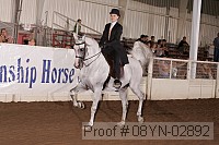 08yn-02892 proof