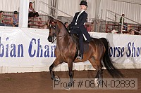 08yn-02893 proof