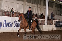 08yn-02895 proof