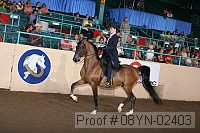 08yn-02403 proof
