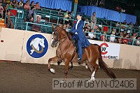 08yn-02406 proof