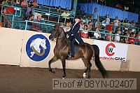 08yn-02407 proof