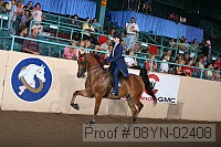 08yn-02408 proof