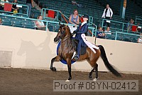08yn-02412 proof