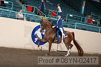 08yn-02417 proof