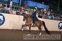 08yn-02421 proof