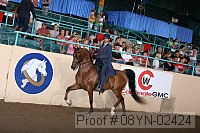 08yn-02424 proof
