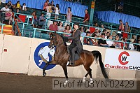 08yn-02429 proof