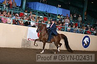 08yn-02431 proof