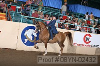 08yn-02432 proof