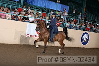 08yn-02434 proof