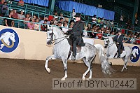 08yn-02442 proof