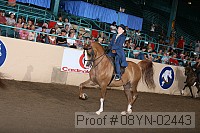08yn-02443 proof