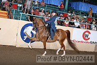 08yn-02444 proof