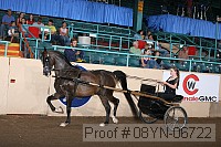 08yn-06722 proof