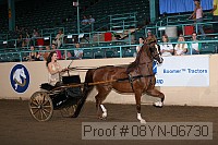 08yn-06730 proof