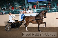 08yn-06732 proof