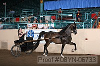 08yn-06733 proof