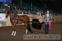 08yn-06735 proof