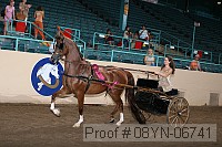 08yn-06741 proof