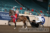 08yn-06743 proof