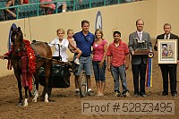 528z3495 proof