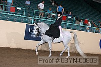 08yn-00803 proof