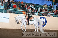 08yn-04651 proof