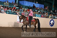 08yn-04653 proof
