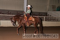 08yn-01043 proof