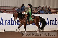 08yn-01062 proof