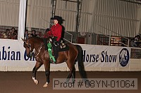 08yn-01064 proof