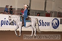 08yn-01073 proof