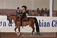 08yn-01075 proof