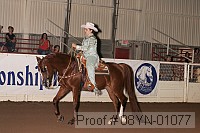 08yn-01077 proof